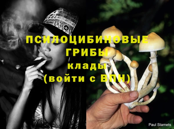 spice Бугульма