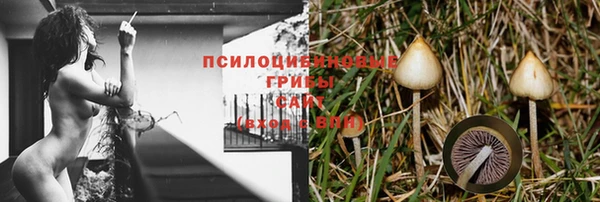 spice Бугульма