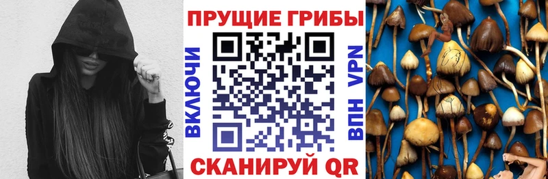 что такое наркотик  Вологда  Галлюциногенные грибы ЛСД 
